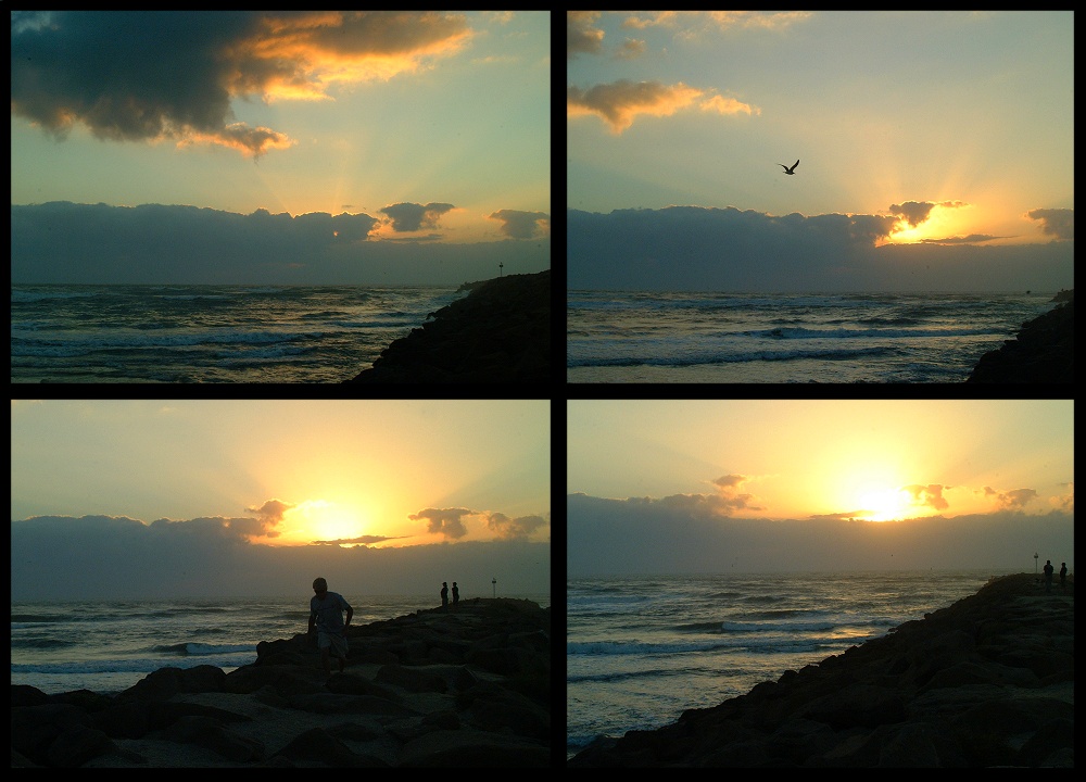 (05) dawn montage (day 2).jpg   (1000x720)   212 Kb                                    Click to display next picture